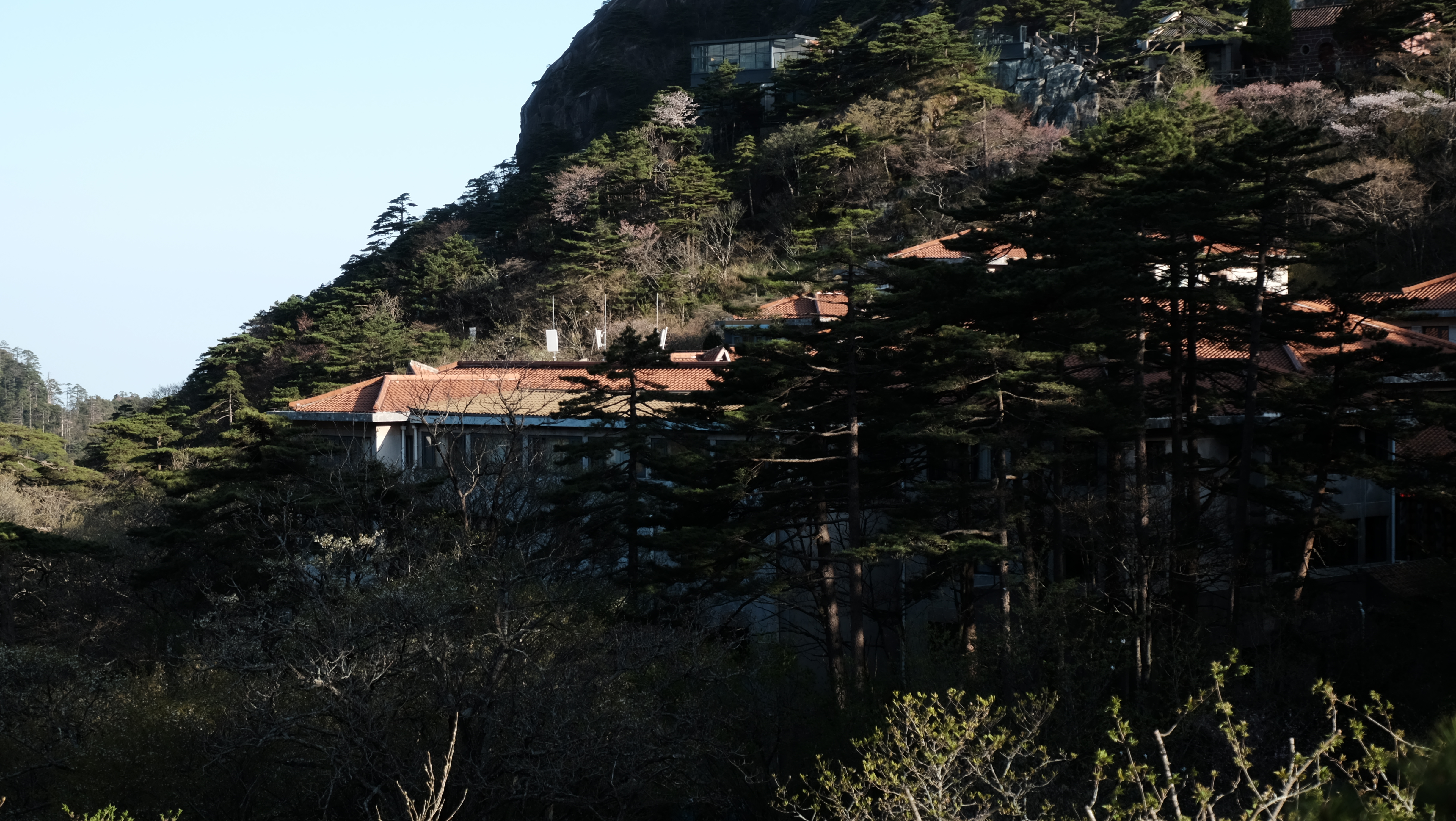 黄山旅途照片 DSCF1045