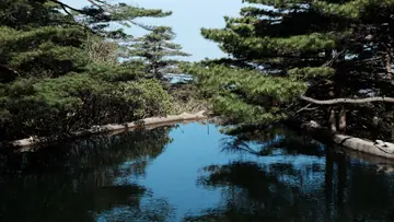 黄山旅途照片 DSCF1133