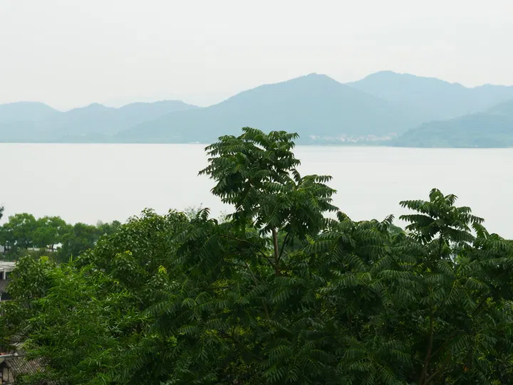 20240714宁波 / P1050102.JPG
