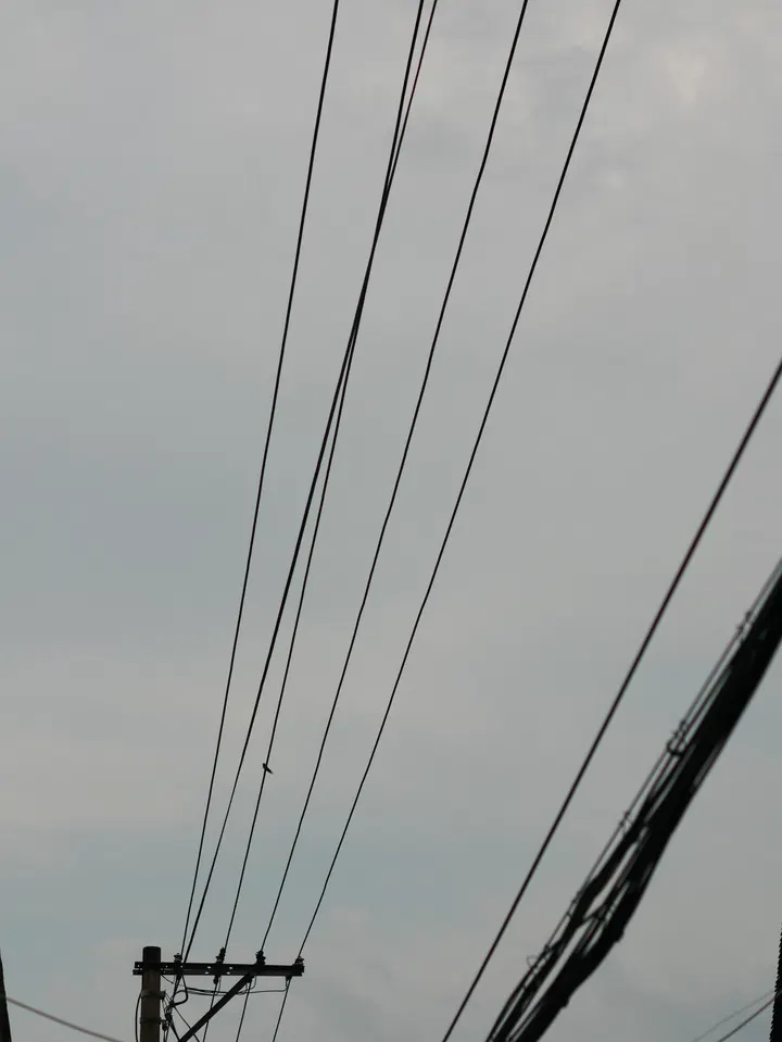 20240714宁波 / P1050123.JPG
