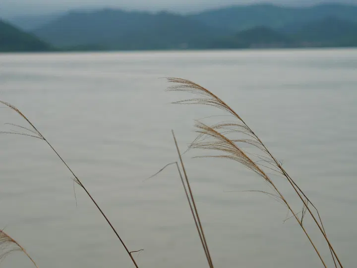 20240714宁波 / P1050240.JPG
