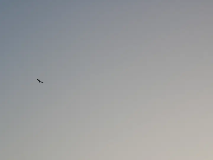 20240728西湖 / P1050688.JPG