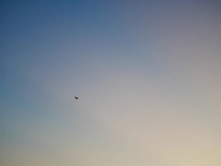 20240728西湖 / P1050697.JPG