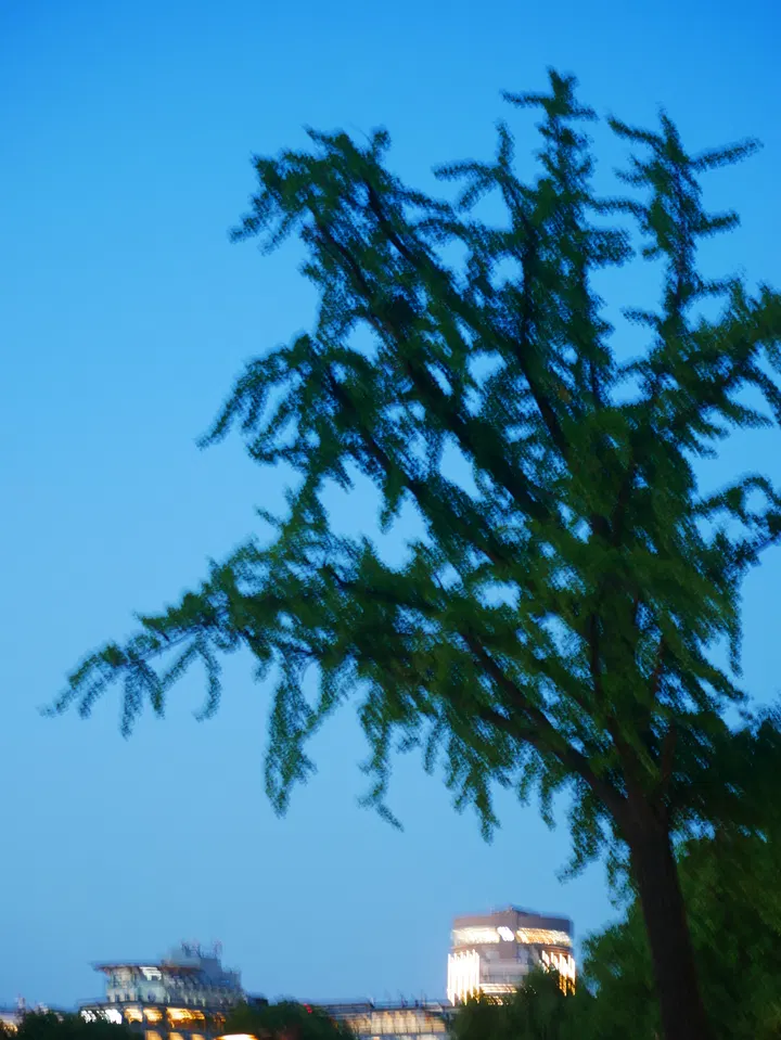 20240728西湖 / P1050705.JPG