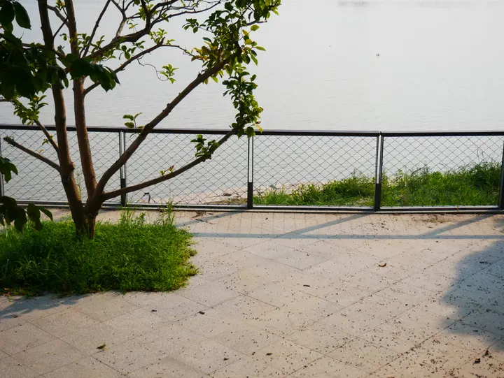 20240810闻堰码头 / P1050750.JPG