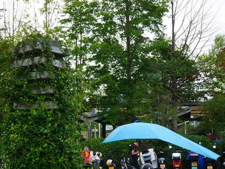 20240922钱塘江观潮 / P1060229.JPG