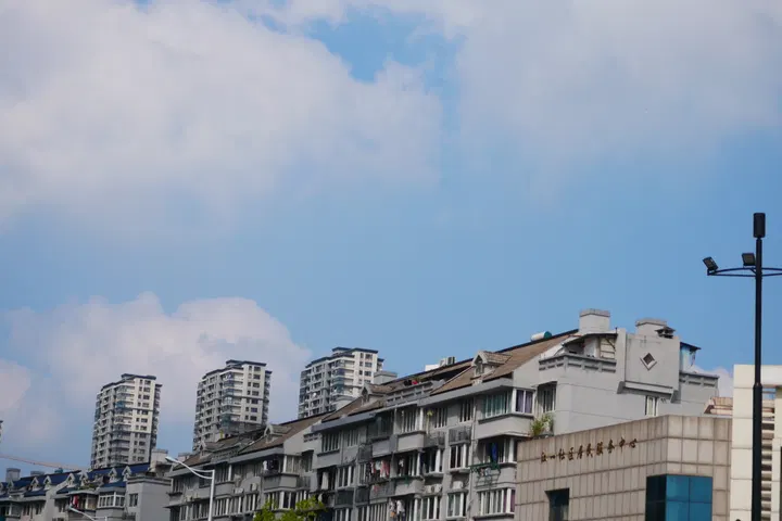 20240928杭州动物园 / P1060242.JPG