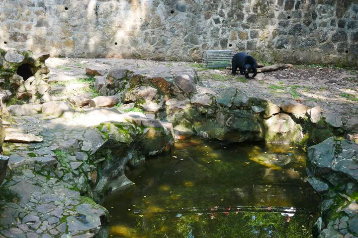 20240928杭州动物园 / P1060317.JPG
