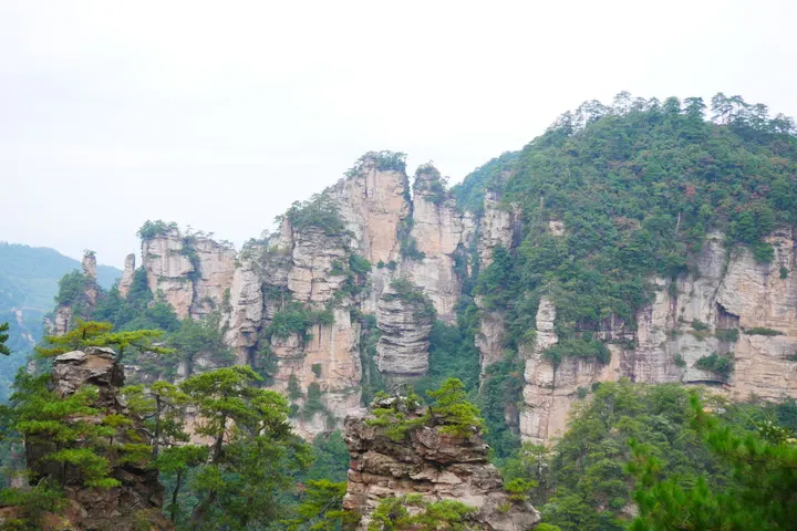 20241004张家界 / P1060438.JPG