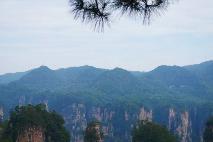 20241004张家界 / P1060467.JPG
