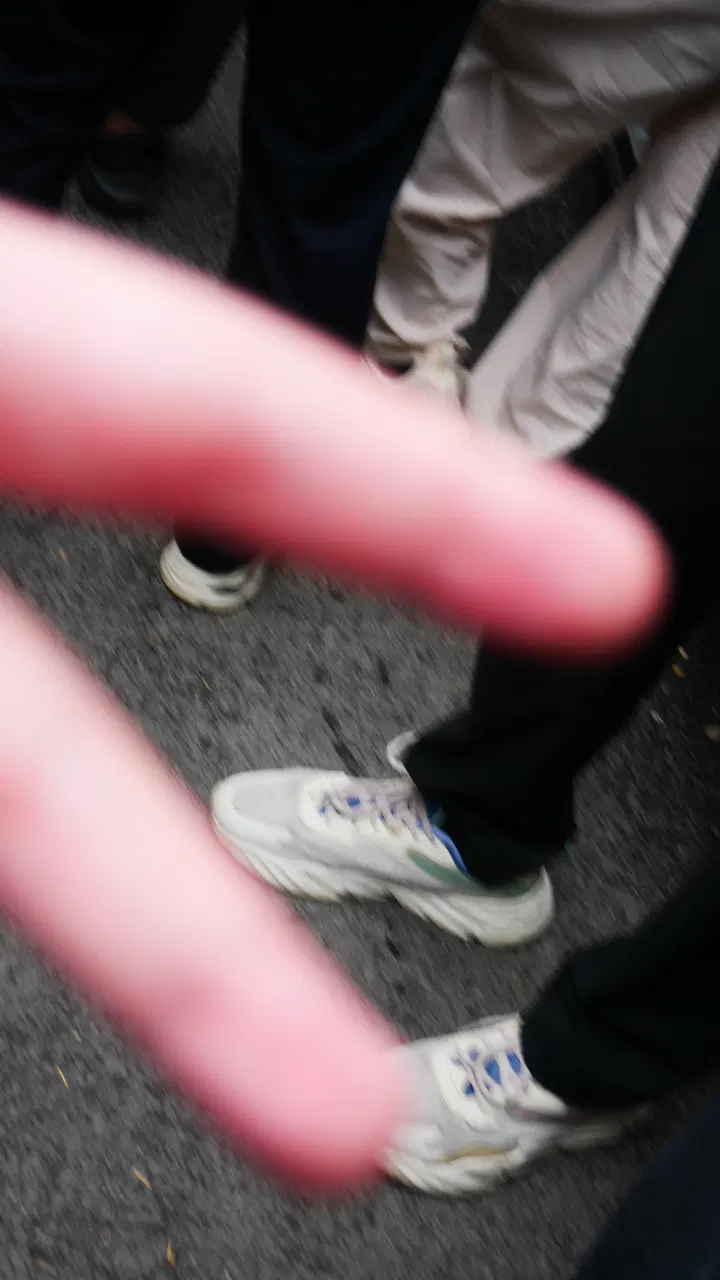 20241004张家界 / P1060527.JPG
