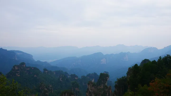 20241004张家界 / P1060562.JPG