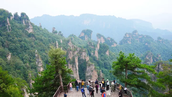 20241004张家界 / P1060576.JPG