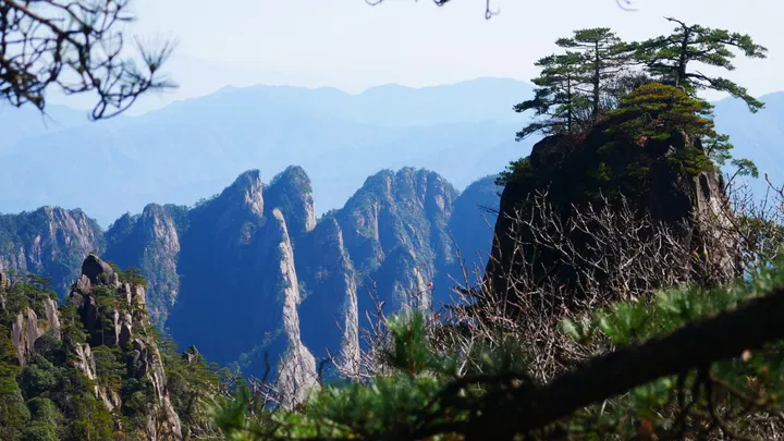 20241103黄山 / P1060786.JPG