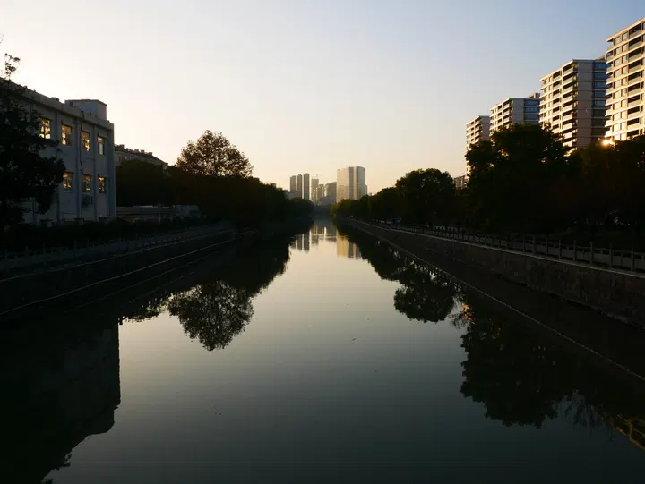 20241201西兴集市 / P1070573.JPG
