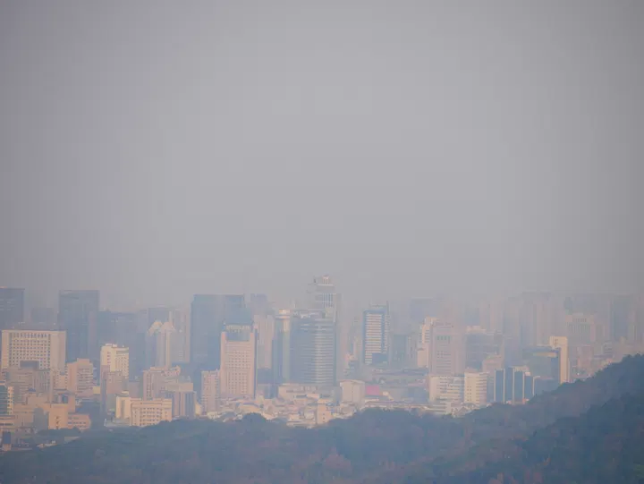 20250112马家坞观景台 / P1080303.JPG