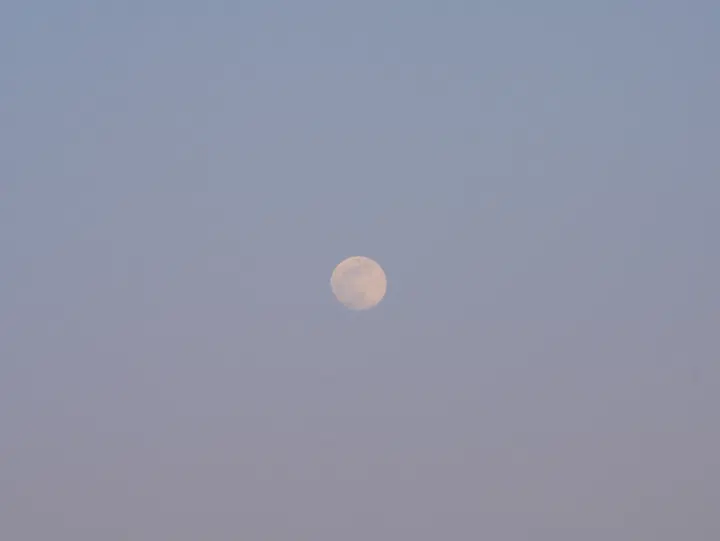 20250112马家坞观景台 / P1080316.JPG