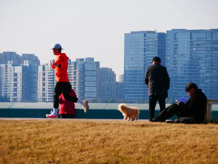 20250209钱塘江 / P1080438.JPG