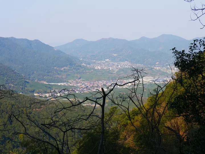 20250301西山森林公园 / P1080511.JPG