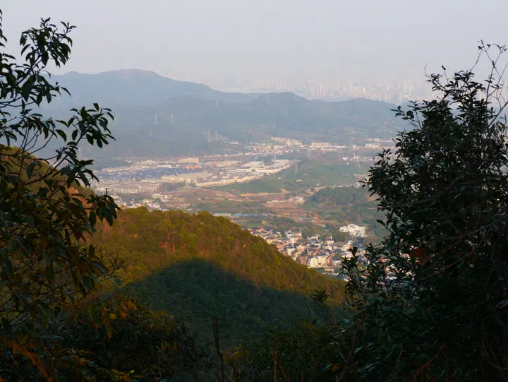 20250301西山森林公园 / P1080533.JPG