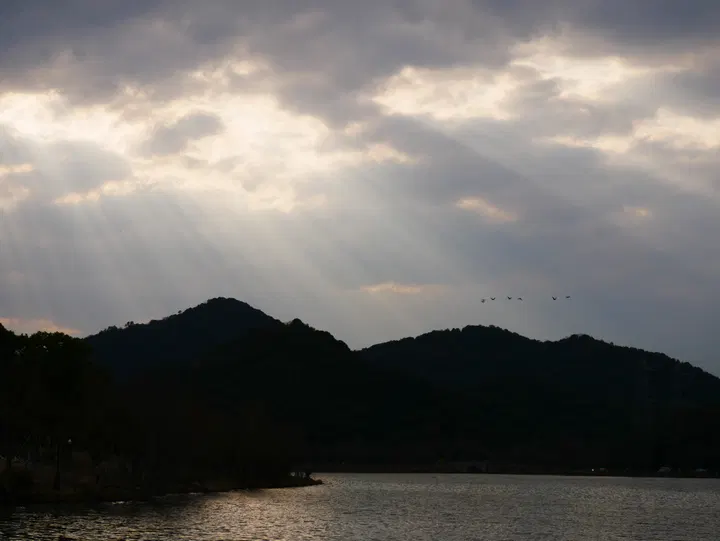 20250302湘湖 / P1080578.JPG