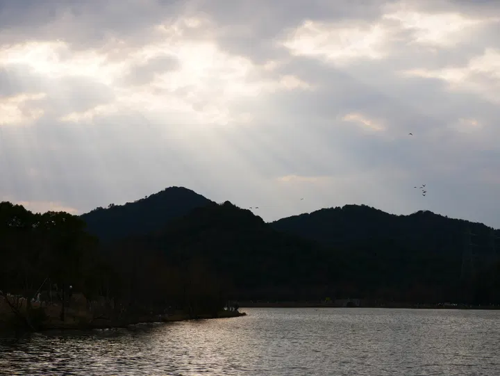 20250302湘湖 / P1080579.JPG