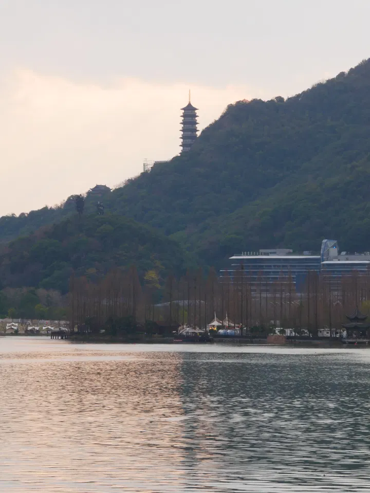 20250302湘湖 / P1080614.JPG