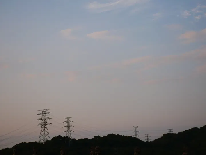 20250302湘湖 / P1080621.JPG