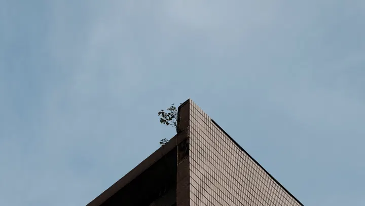 20250824三墩老街 / DSCF0140.JPG