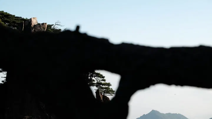 20260419-黄山 / DSCF1022.JPG