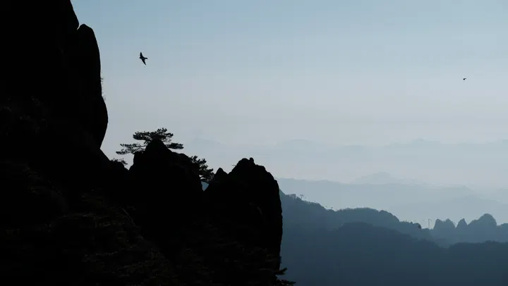 20260419-黄山 / DSCF1110.JPG